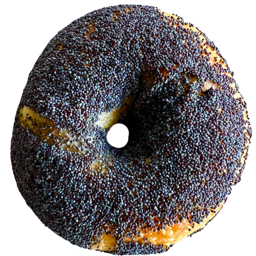 Poppy seed bagel